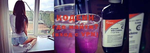 индика Балабаново