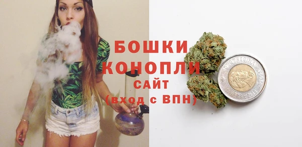 индика Балабаново