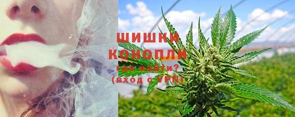 индика Балабаново