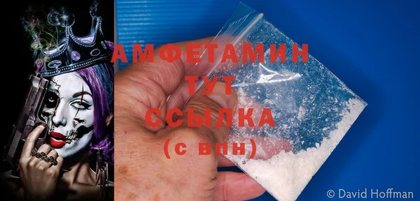 индика Балабаново
