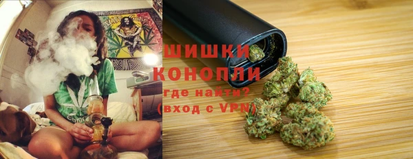 индика Балабаново
