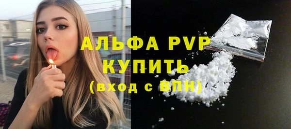 индика Балабаново