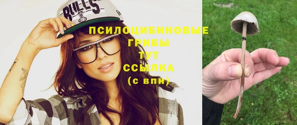 индика Балабаново